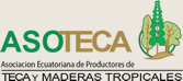 ASOTECA